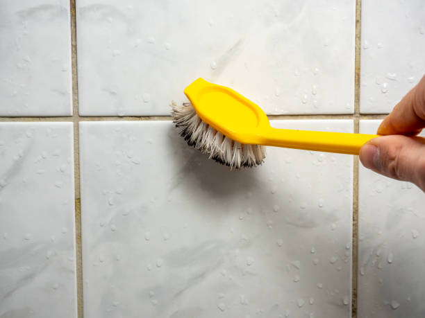 Mold Testing and Removal in Swisher, IA