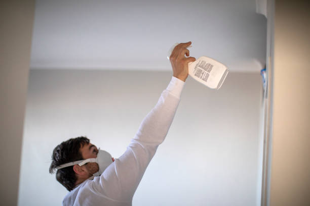 Best Home Mold Removal  in Swisher, IA