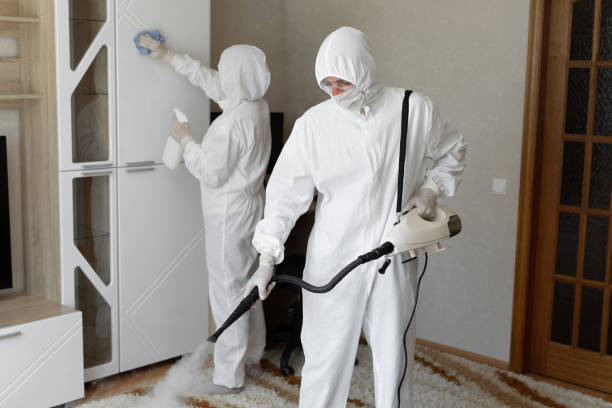 Best Commercial Mold Removal  in Swisher, IA
