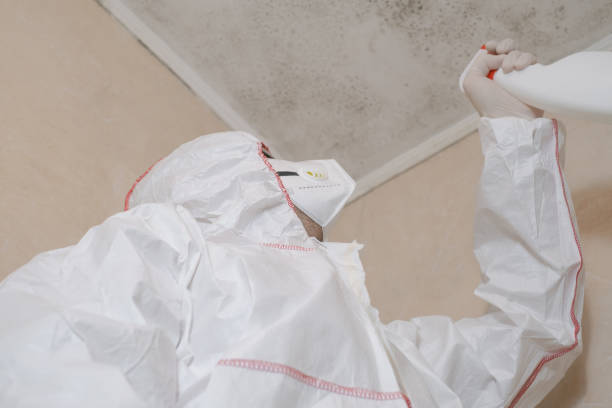 Best Mold Testing and Removal  in Swisher, IA